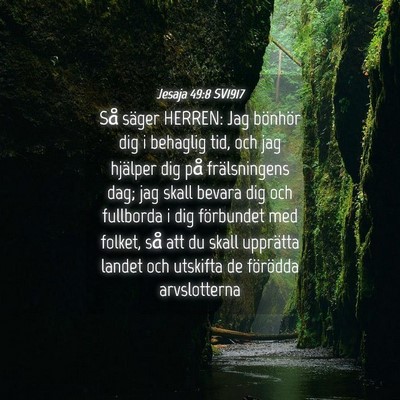 Picture 04 - Jesaja 49:8 SV1917 - Så säger HERREN: Jag bönhör dig i behaglig - Bible Verse Picture
