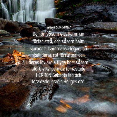 Picture 04 - Jesaja 5:24 SV1917 - Därför, såsom eldsflamman förtär strå, och - Bible Verse Picture