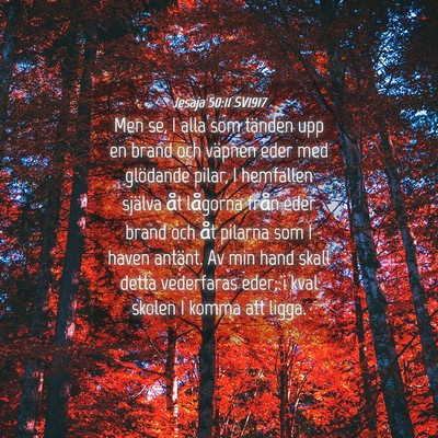 Picture 04 - Jesaja 50:11 SV1917 - Men se, I alla som tänden upp en brand och - Bible Verse Picture