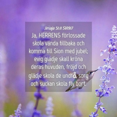 Picture 04 - Jesaja 51:11 SV1917 - Ja, HERRENS förlossade skola vända tillbaka och - Bible Verse Picture