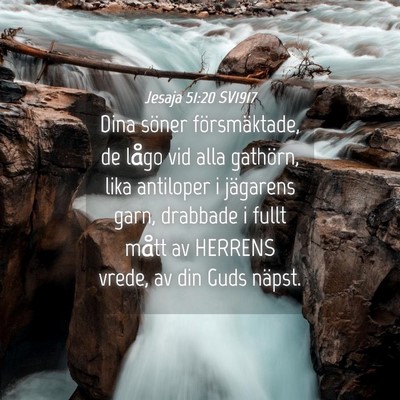 Picture 04 - Jesaja 51:20 SV1917 - Dina söner försmäktade, de lågo vid alla - Bible Verse Picture