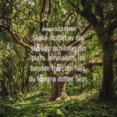 Picture 04 - Jesaja 52:2 SV1917 - Skaka stoftet av dig, stå upp och intag din - Bible Verse Picture