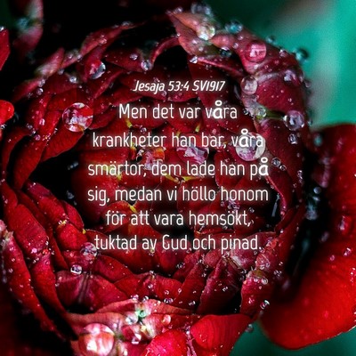 Picture 04 - Jesaja 53:4 SV1917 - Men det var våra krankheter han bar, våra - Bible Verse Picture