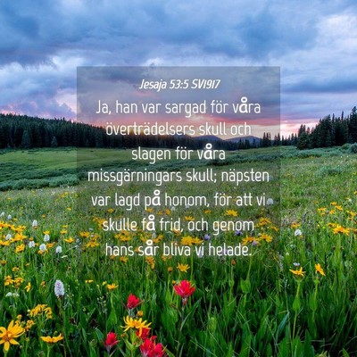 Picture 04 - Jesaja 53:5 SV1917 - Ja, han var sargad för våra överträdelsers - Bible Verse Picture