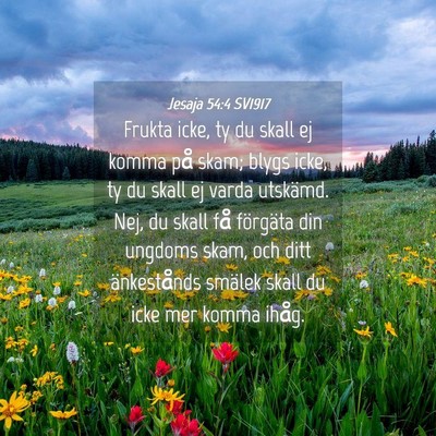 Picture 04 - Jesaja 54:4 SV1917 - Frukta icke, ty du skall ej komma på skam; blygs - Bible Verse Picture