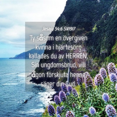 Picture 04 - Jesaja 54:6 SV1917 - Ty såsom en övergiven kvinna i hjärtesorg - Bible Verse Picture