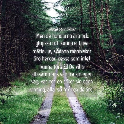 Picture 04 - Jesaja 56:11 SV1917 - Men de hundarna äro ock glupska och kunna ej - Bible Verse Picture