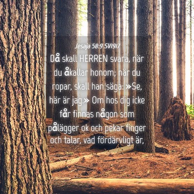 Picture 04 - Jesaja 58:9 SV1917 - Då skall HERREN svara, när du åkallar honom; - Bible Verse Picture