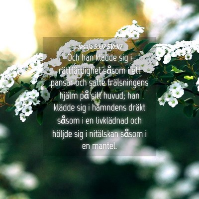 Picture 04 - Jesaja 59:17 SV1917 - Och han klädde sig i rättfärdighet såsom i - Bible Verse Picture