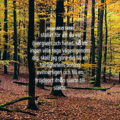 Picture 04 - Jesaja 60:15 SV1917 - I stället för att du var övergiven och hatad, - Bible Verse Picture