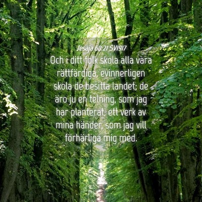 Picture 04 - Jesaja 60:21 SV1917 - Och i ditt folk skola alla vara rättfärdiga, - Bible Verse Picture