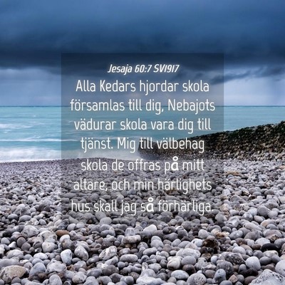 Picture 04 - Jesaja 60:7 SV1917 - Alla Kedars hjordar skola församlas till dig, - Bible Verse Picture
