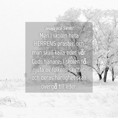 Picture 04 - Jesaja 61:6 SV1917 - Men I skolen heta HERRENS präster, och man skall - Bible Verse Picture