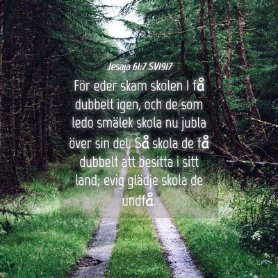 Picture 04 - Jesaja 61:7 SV1917 - För eder skam skolen I få dubbelt igen, och de - Bible Verse Picture