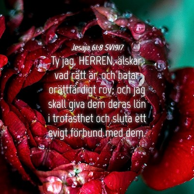 Picture 04 - Jesaja 61:8 SV1917 - Ty jag, HERREN, älskar, vad rätt är, och hatar - Bible Verse Picture
