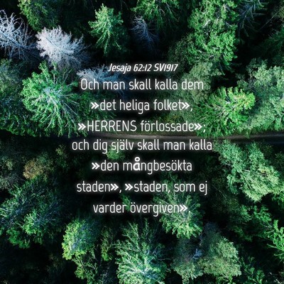 Picture 04 - Jesaja 62:12 SV1917 - Och man skall kalla dem »det heliga folket», - Bible Verse Picture