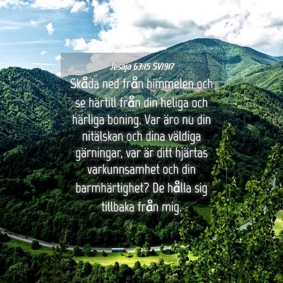 Picture 04 - Jesaja 63:15 SV1917 - Skåda ned från himmelen och se härtill från - Bible Verse Picture
