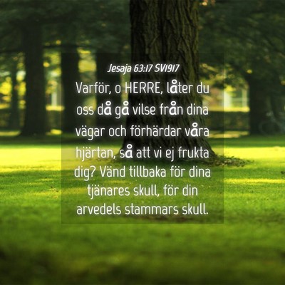 Picture 04 - Jesaja 63:17 SV1917 - Varför, o HERRE, låter du oss då gå vilse - Bible Verse Picture
