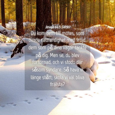 Picture 04 - Jesaja 64:5 SV1917 - Du kom dem till mötes, som övade - Bible Verse Picture