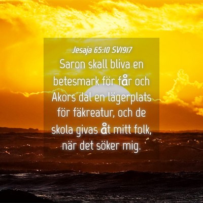 Picture 04 - Jesaja 65:10 SV1917 - Saron skall bliva en betesmark för får och - Bible Verse Picture