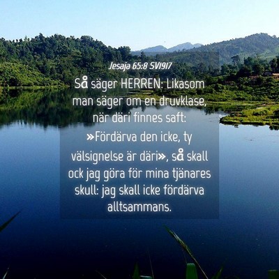 Picture 04 - Jesaja 65:8 SV1917 - Så säger HERREN: Likasom man säger om en - Bible Verse Picture