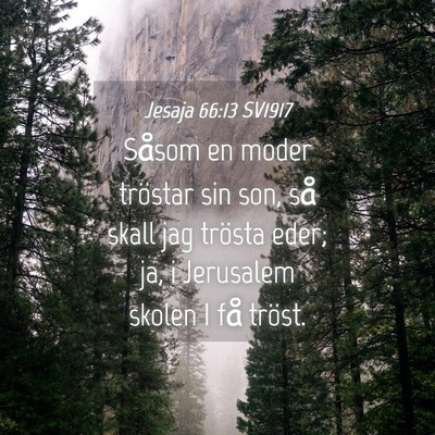 Picture 04 - Jesaja 66:13 SV1917 - Såsom en moder tröstar sin son, så skall jag - Bible Verse Picture