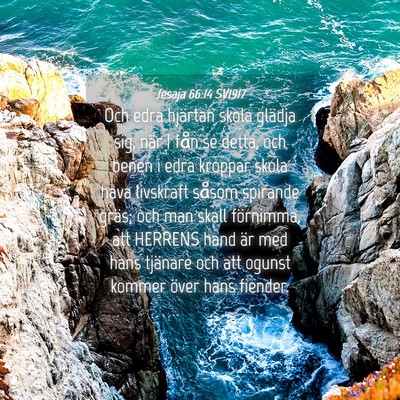 Picture 04 - Jesaja 66:14 SV1917 - Och edra hjärtan skola glädja sig, när I fån - Bible Verse Picture