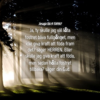 Picture 04 - Jesaja 66:9 SV1917 - Ja, ty skulle jag väl låta fostret bliva - Bible Verse Picture