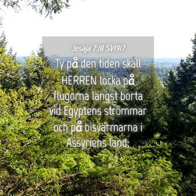 Picture 04 - Jesaja 7:18 SV1917 - Ty på den tiden skall HERREN locka på flugorna - Bible Verse Picture