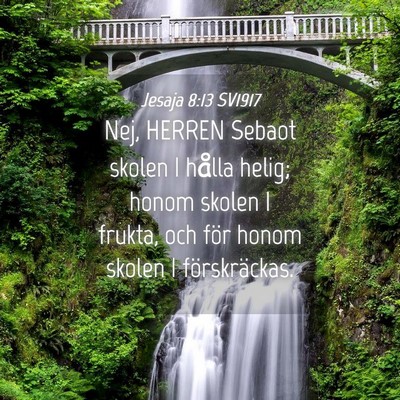 Picture 04 - Jesaja 8:13 SV1917 - Nej, HERREN Sebaot skolen I hålla helig; honom - Bible Verse Picture