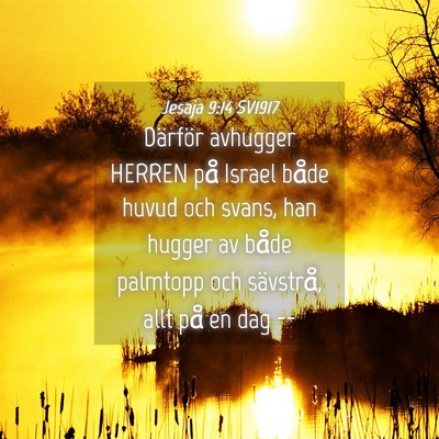 Picture 04 - Jesaja 9:14 SV1917 - Därför avhugger HERREN på Israel både huvud - Bible Verse Picture