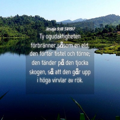 Picture 04 - Jesaja 9:18 SV1917 - Ty ogudaktigheten förbränner såsom en eld, den - Bible Verse Picture