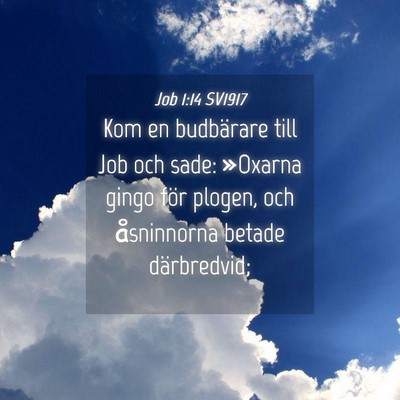 Picture 04 - Job 1:14 SV1917 - Kom en budbärare till Job och sade: »Oxarna - Bible Verse Picture