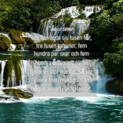 Picture 04 - Job 1:3 SV1917 - och han ägde sju tusen får, tre tusen kameler, - Bible Verse Picture