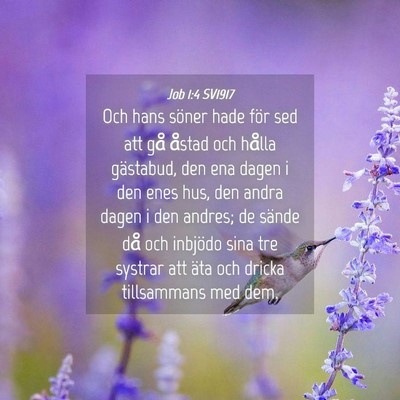 Picture 04 - Job 1:4 SV1917 - Och hans söner hade för sed att gå åstad och - Bible Verse Picture
