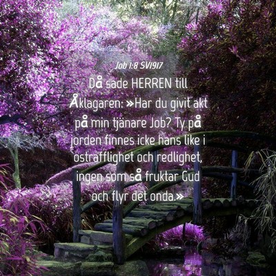 Picture 04 - Job 1:8 SV1917 - Då sade HERREN till Åklagaren: »Har du givit - Bible Verse Picture