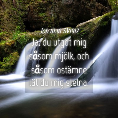 Picture 04 - Job 10:10 SV1917 - Ja, du utgöt mig såsom mjölk, och såsom - Bible Verse Picture