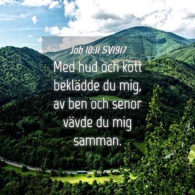 Picture 04 - Job 10:11 SV1917 - Med hud och kött beklädde du mig, av ben och - Bible Verse Picture