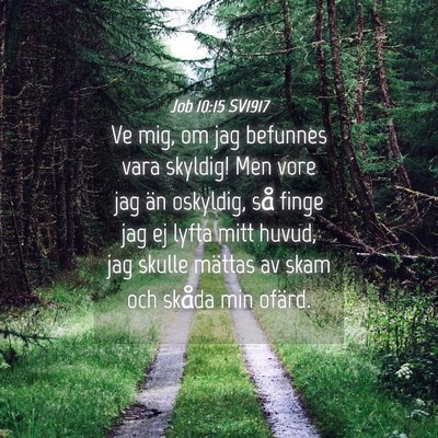 Picture 04 - Job 10:15 SV1917 - Ve mig, om jag befunnes vara skyldig! Men vore - Bible Verse Picture