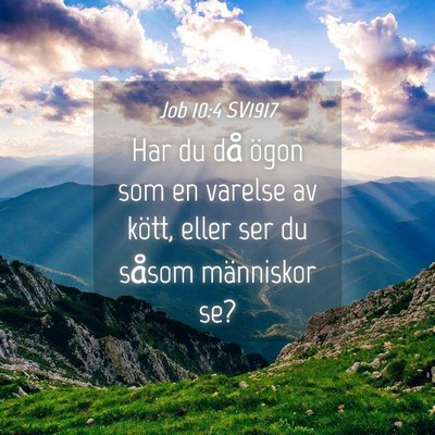 Picture 04 - Job 10:4 SV1917 - Har du då ögon som en varelse av kött, eller - Bible Verse Picture
