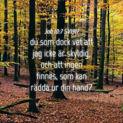 Picture 04 - Job 10:7 SV1917 - du som dock vet att jag icke är skyldig, och att - Bible Verse Picture