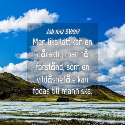 Picture 04 - Job 11:12 SV1917 - Men lika lätt kan en dåraktig man få - Bible Verse Picture