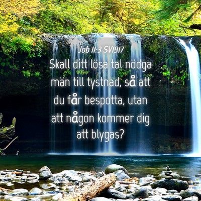Picture 04 - Job 11:3 SV1917 - Skall ditt lösa tal nödga män till tystnad, - Bible Verse Picture