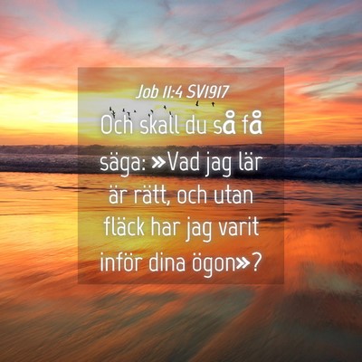 Picture 04 - Job 11:4 SV1917 - Och skall du så få säga: »Vad jag lär är - Bible Verse Picture