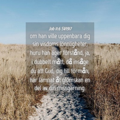 Picture 04 - Job 11:6 SV1917 - om han ville uppenbara dig sin visdoms - Bible Verse Picture