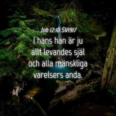 Picture 04 - Job 12:10 SV1917 - I hans han är ju allt levandes själ och alla - Bible Verse Picture