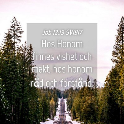 Picture 04 - Job 12:13 SV1917 - Hos Honom finnes vishet och makt, hos honom råd - Bible Verse Picture
