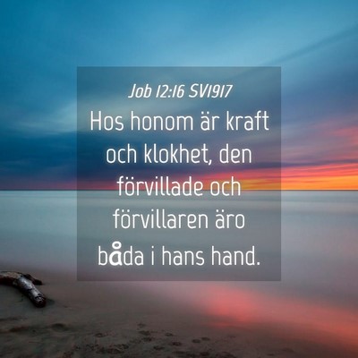 Picture 04 - Job 12:16 SV1917 - Hos honom är kraft och klokhet, den förvillade - Bible Verse Picture