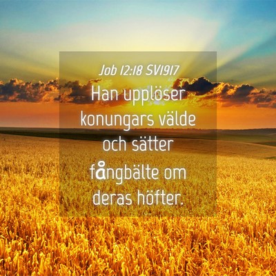 Picture 04 - Job 12:18 SV1917 - Han upplöser konungars välde och sätter - Bible Verse Picture