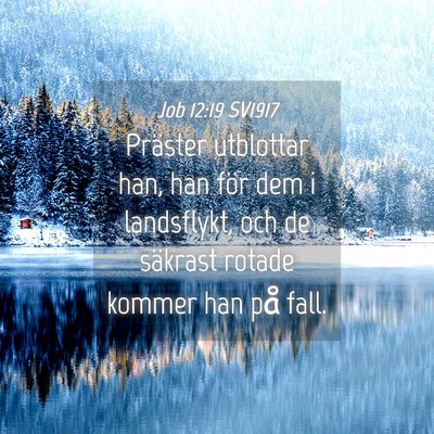 Picture 04 - Job 12:19 SV1917 - Präster utblottar han, han för dem i - Bible Verse Picture